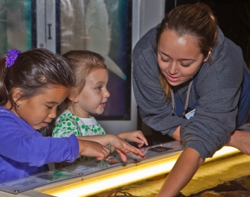 Santa Monica Pier Aquarium Kids Volunteer